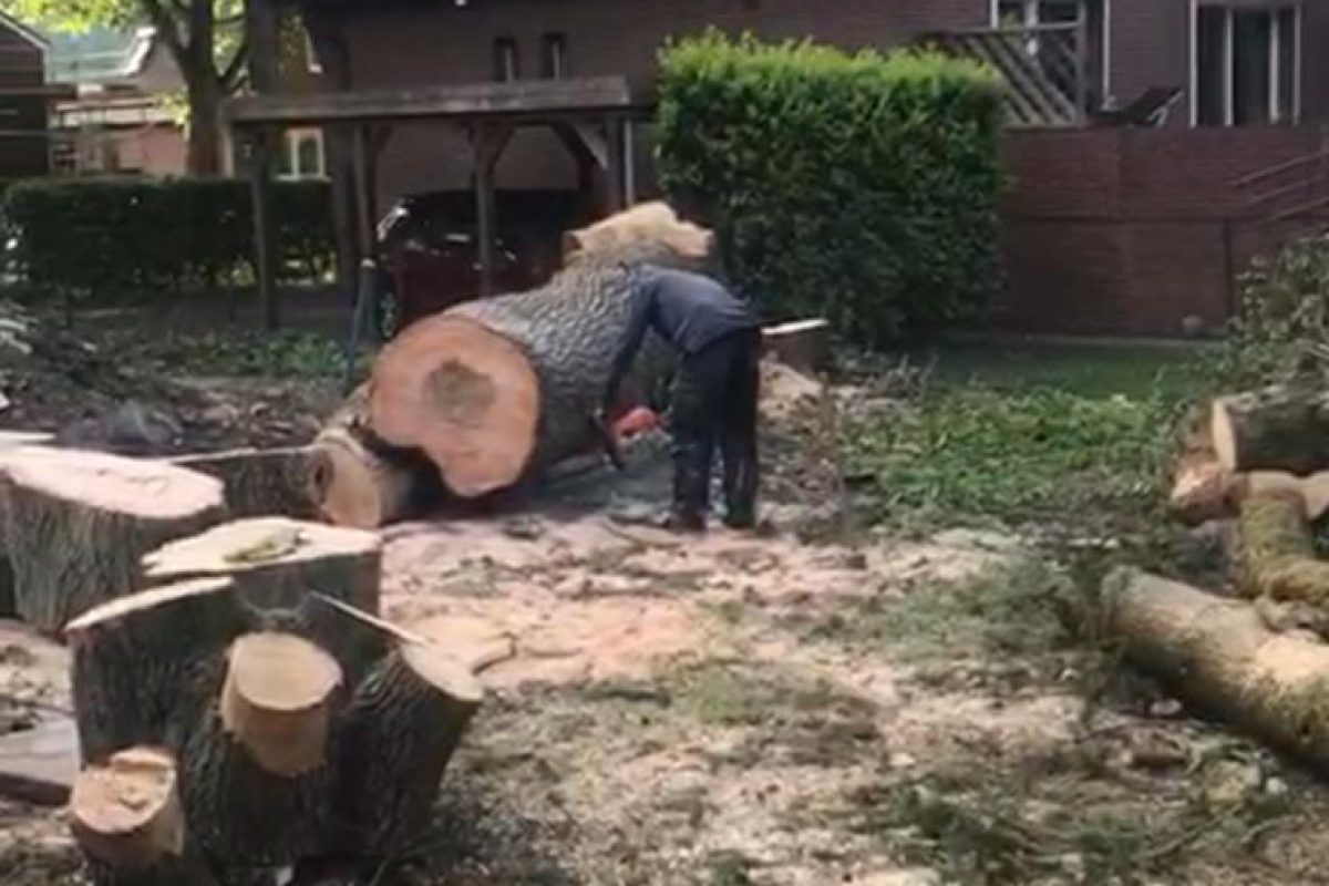 Handwerker Hamburg